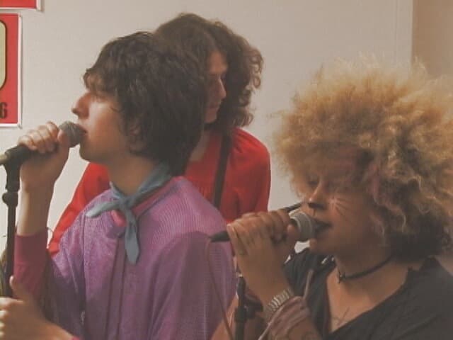 The Moldy Peaches photo